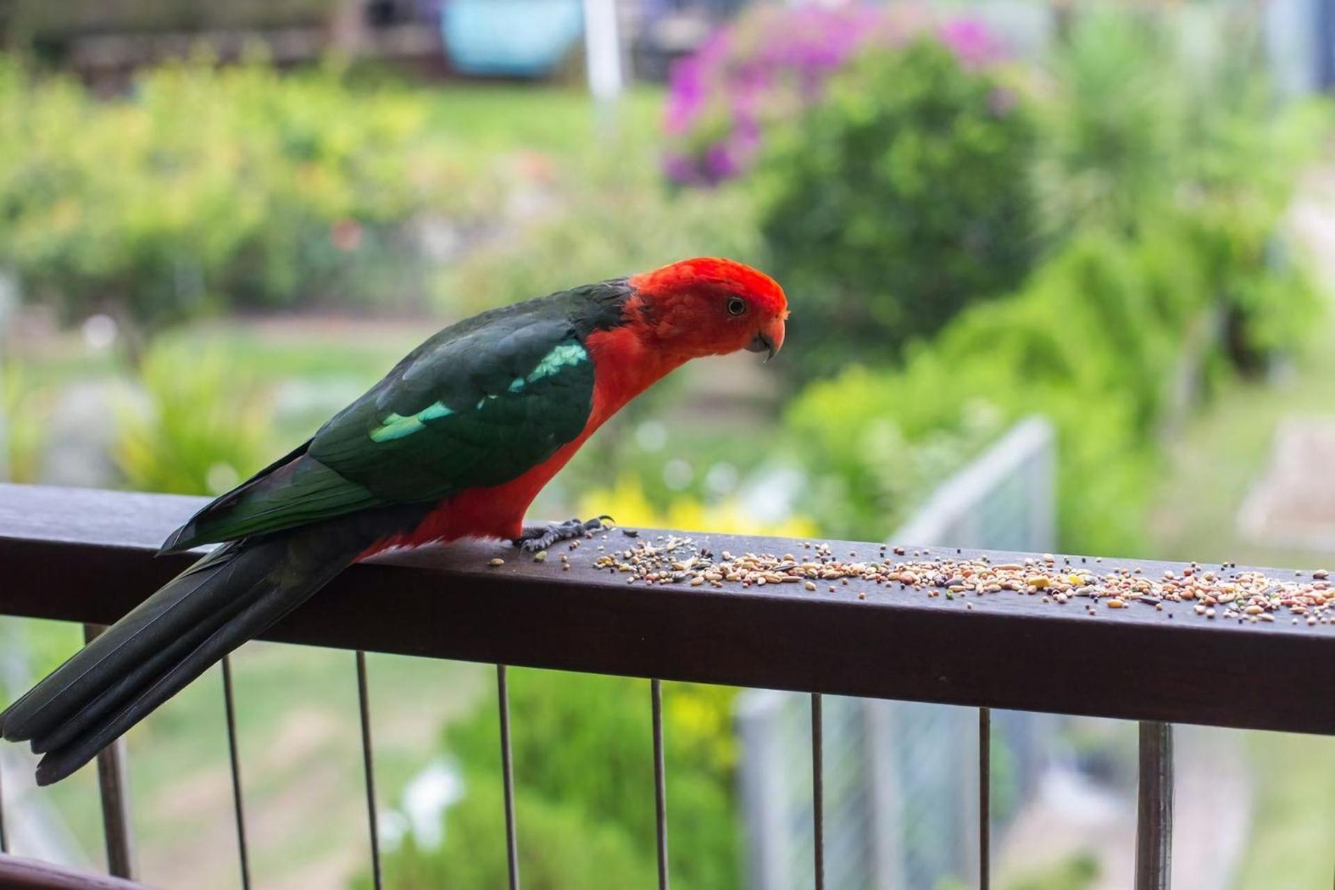 Yaringa At Bawley Villa Bawley Point ภายนอก รูปภาพ